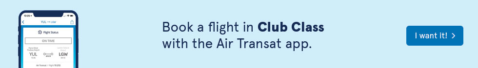 air transat luggage fee