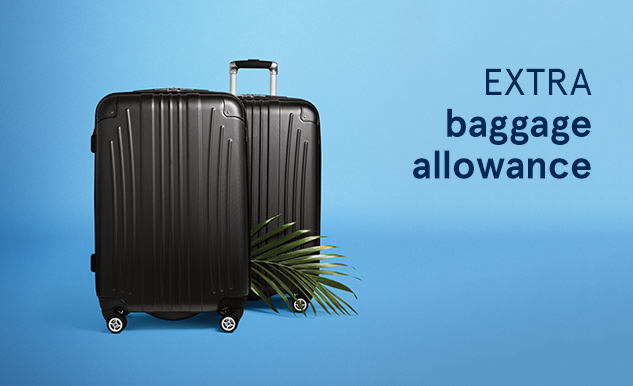 baggage allowance world traveller plus